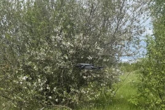 В Ярославской области для поиска пропавших людей начали использовать беспилотники