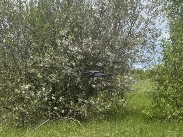 В Ярославской области для поиска пропавших людей начали использовать беспилотники