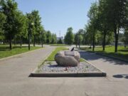 Рыбинск побил рекорд голосования по программе ФКГС
