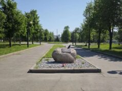Рыбинск побил рекорд голосования по программе ФКГС
