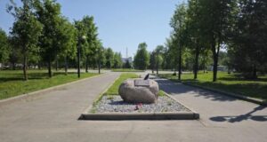 Рыбинск побил рекорд голосования по программе ФКГС