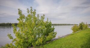 В Рыбинске приведут в порядок нижний ярус набережной