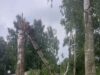 В Рыбинском округе борются с последствиями урагана