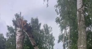 В Рыбинском округе борются с последствиями урагана