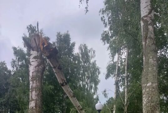 В Рыбинском округе борются с последствиями урагана