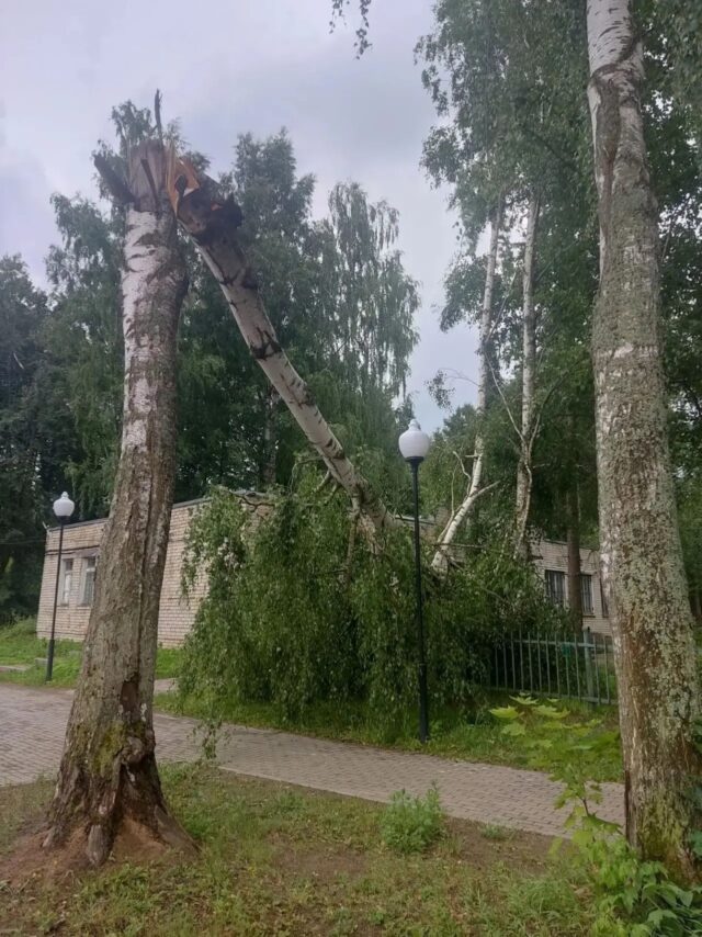 В Рыбинском округе борются с последствиями урагана