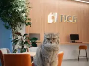 Новые условия по ипотеке для жителей Ярославской области от ПСБ