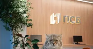 Новые условия по ипотеке для жителей Ярославской области от ПСБ