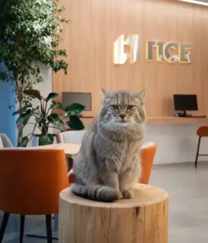 BWqOYtrjwTECnlHQh7A2nuwnbXVBzeK0nmGxhNRLKd88mjrokLWFaKImLrqk_CrCcGic0XMLmQ6GxXecLV0r9JyM-1