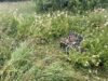 В Рыбинском районе погиб водитель мопеда