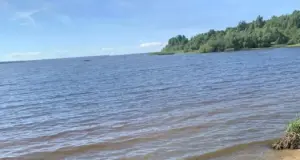 Сажевые осадки, выпавшие в Рыбинском округе, не представляют опасности