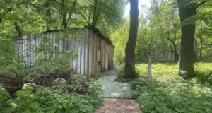 В Ярославской области продолжают борьбу с заброшенными зданиями