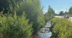 В Копаево проверяют водоотводную канаву возле реки Уткашь