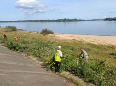 В Рыбинске начали приводить в порядок берег Волги