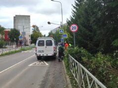 В Рыбинске «расчистили» кусты у школы № 5
