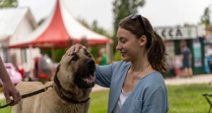12 сентября в Городском сквере пройдёт благотворительный концерт в поддержку бездомных животных