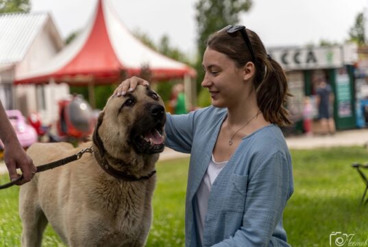 12 сентября в Городском сквере пройдёт благотворительный концерт в поддержку бездомных животных