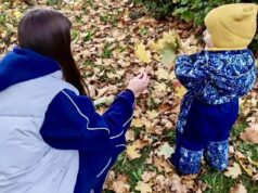 Услугу «Социальная няня» в нашем регионе могут получить больше семей