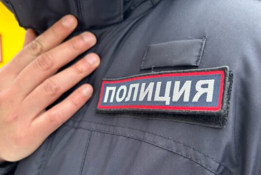 В Рыбинске задержали магазинного вора