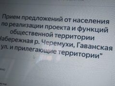 Какой будет территория вдоль Черемухи: рыбинцы могут высказать свое мнение