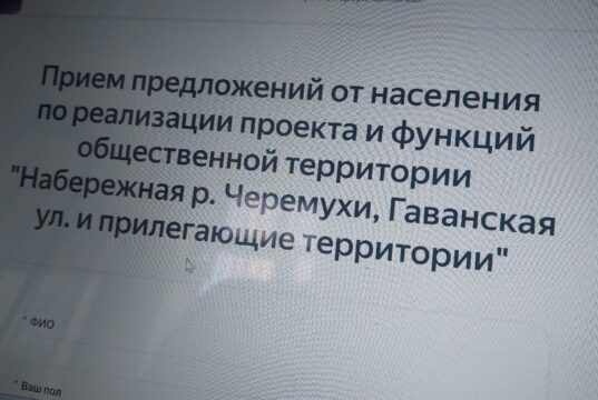 Какой будет территория вдоль Черемухи: рыбинцы могут высказать свое мнение