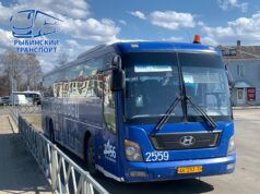 В Рыбинске подорожает проезд на междугородных автобусах: тарифы вырастут на 15 %