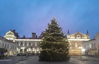 В Рыбинске ищут ёлки для новогодних праздников